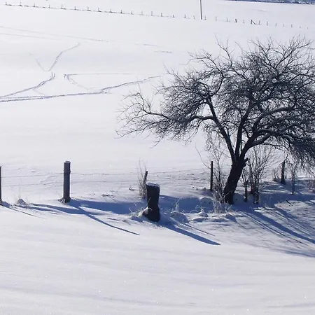 Daire In Oberkirchen Nahe Skilift *
